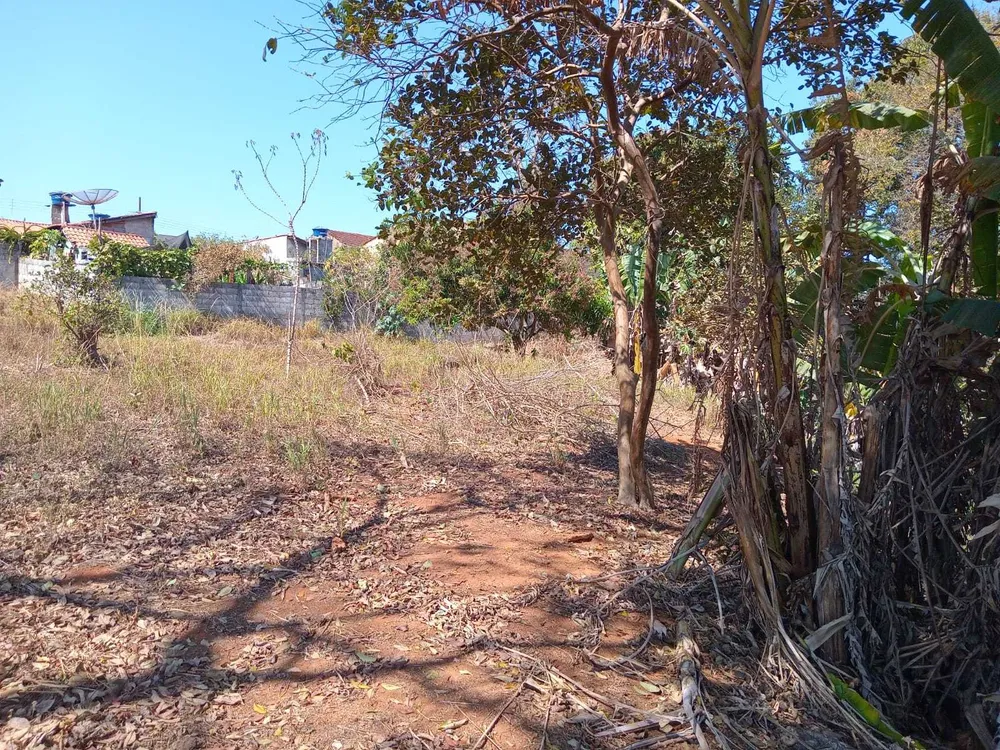 Terreno - Foto 4