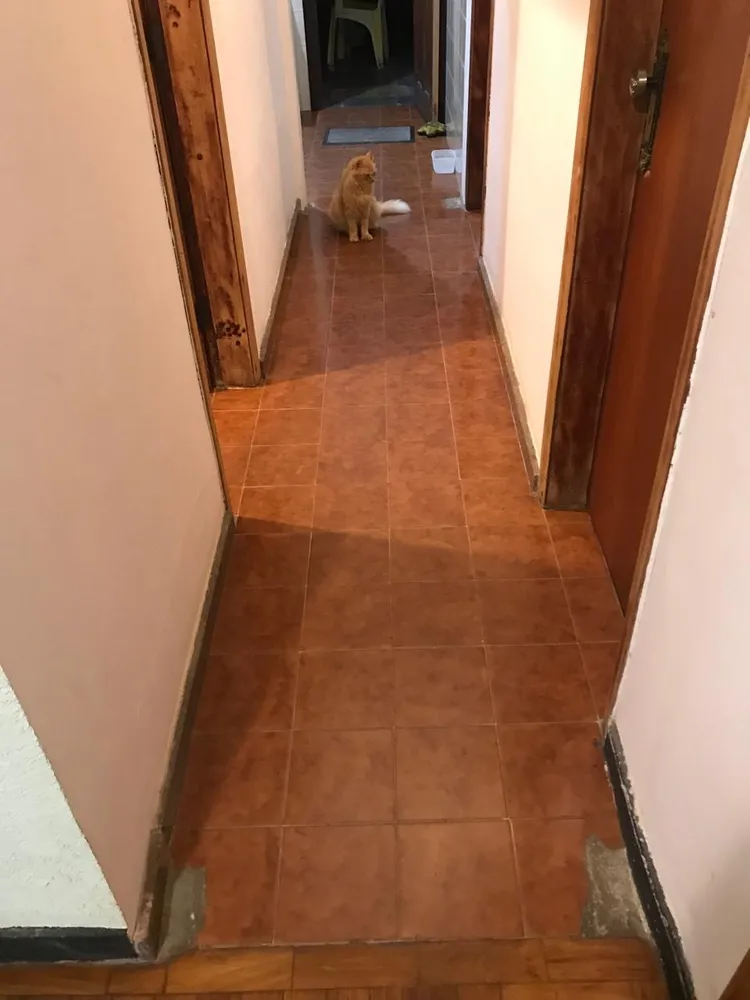 Casa, 3 quartos, 140 m² - Foto 1