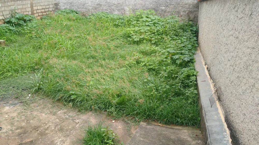 Casa, 3 quartos, 400 m² - Foto 16