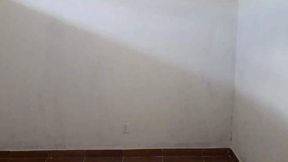 Casa, 3 quartos, 250 m² - Foto 11