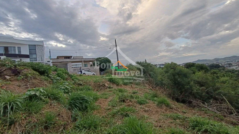 Terreno - Foto 5