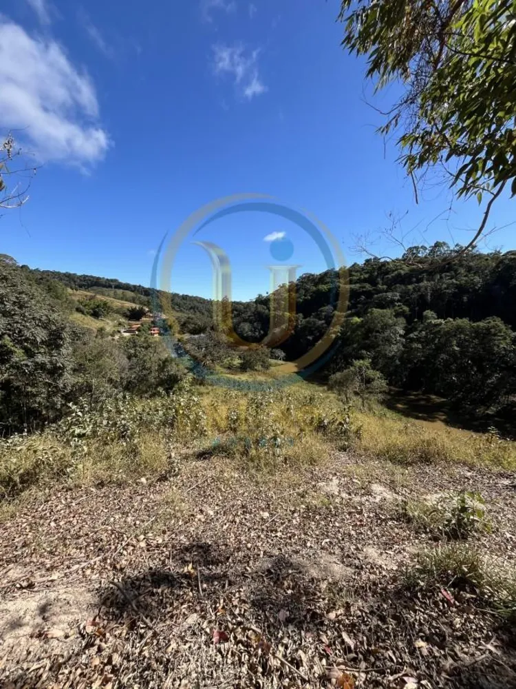 Apartamento, 10 quartos, 260000 m² - Foto 11