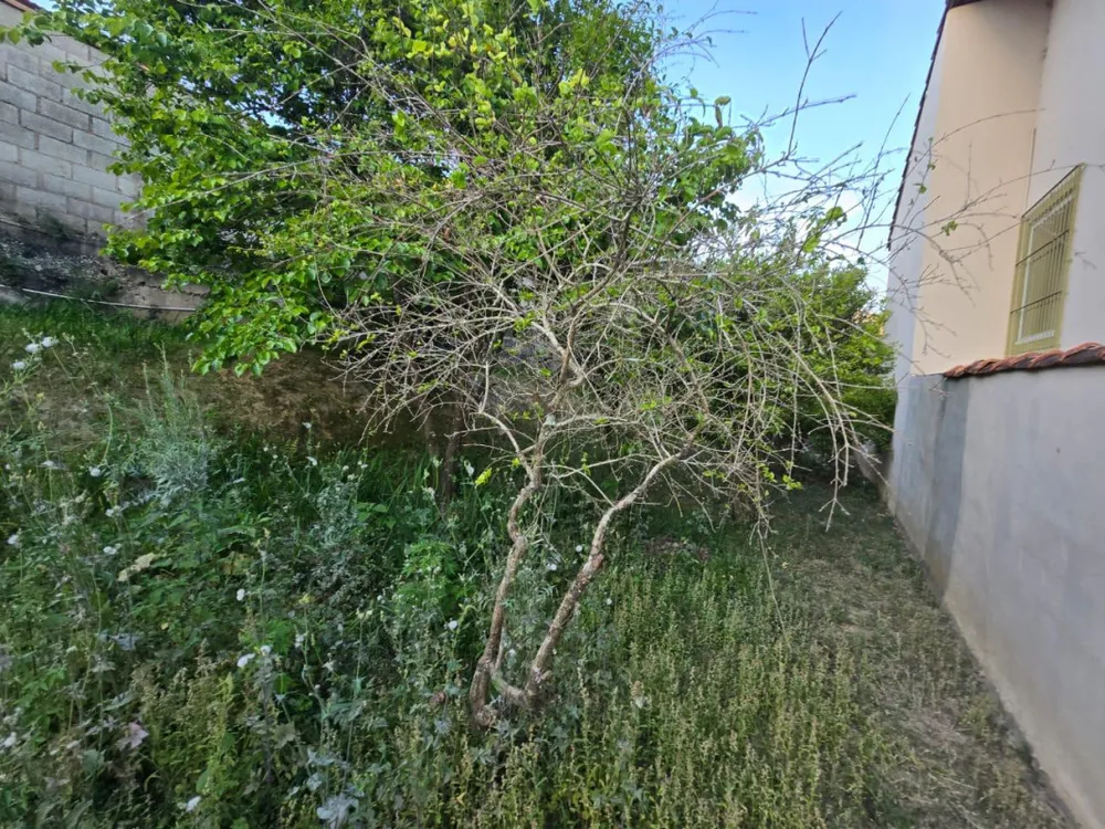 Terreno, 285 m² - Foto 5