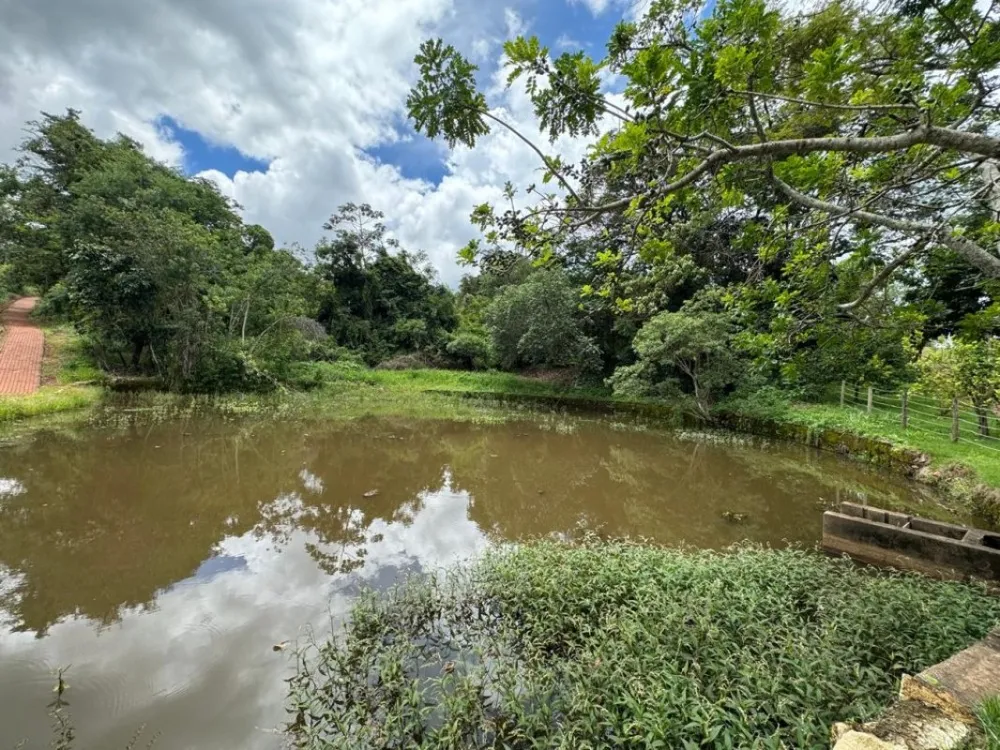 Terreno, 1000 m² - Foto 4