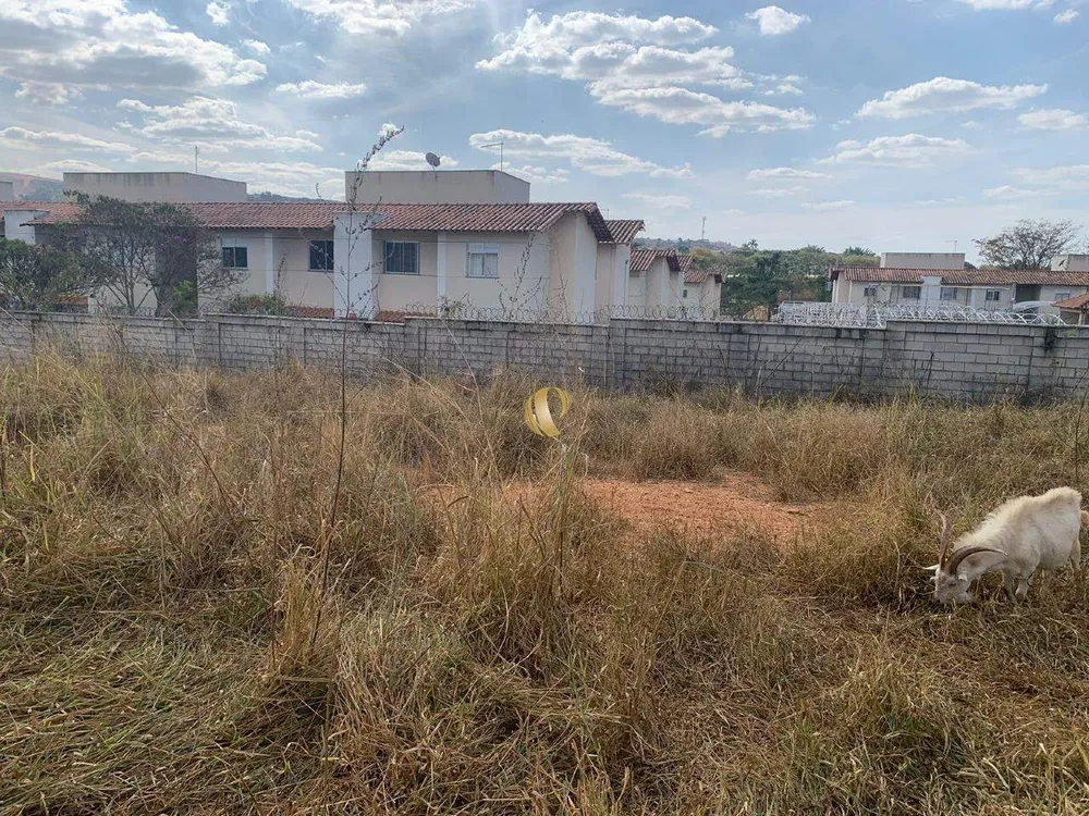 Terreno, 3300 m² - Foto 8