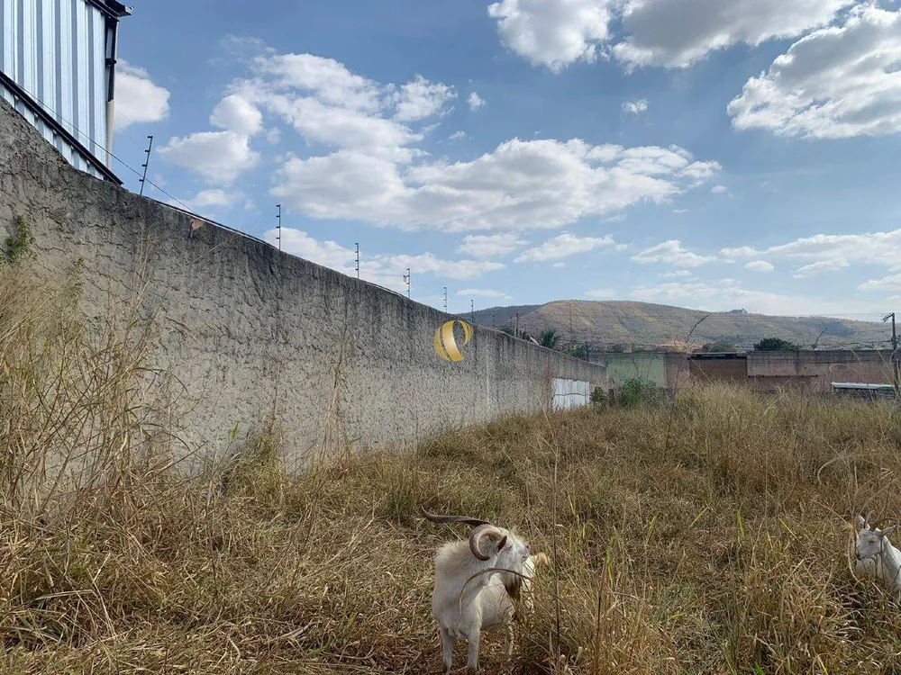 Terreno, 3300 m² - Foto 7