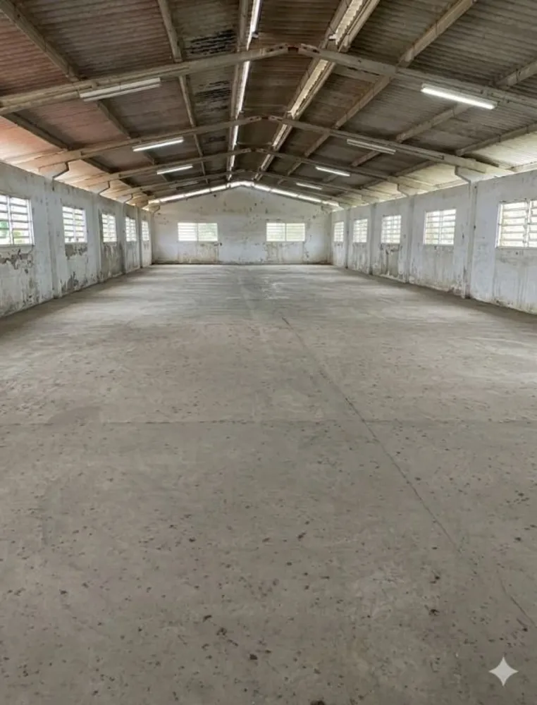 Depósito-Galpão, 1350 m² - Foto 3