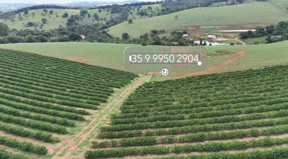 Fazenda, 80 hectares - Foto 3