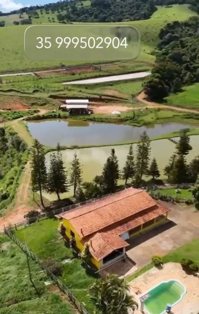 Fazenda, 80 hectares - Foto 9