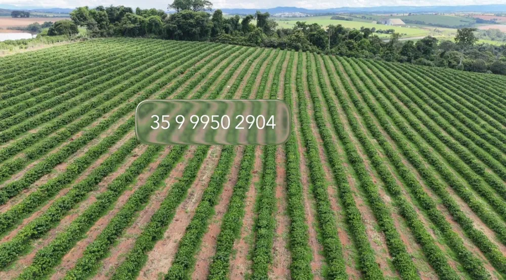 Fazenda, 80 hectares - Foto 2