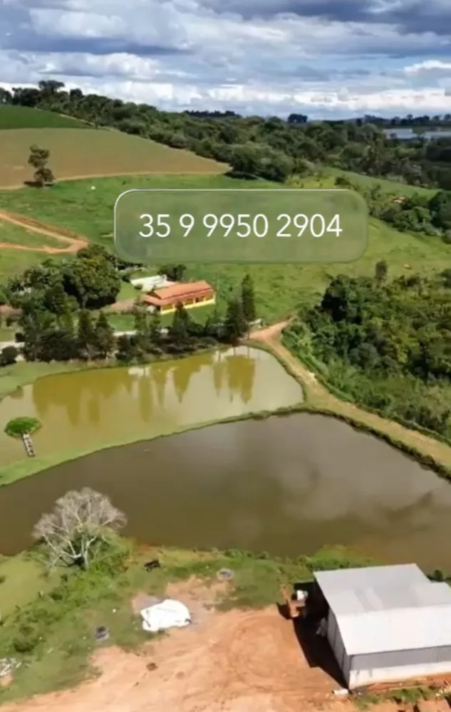Fazenda, 80 hectares - Foto 6