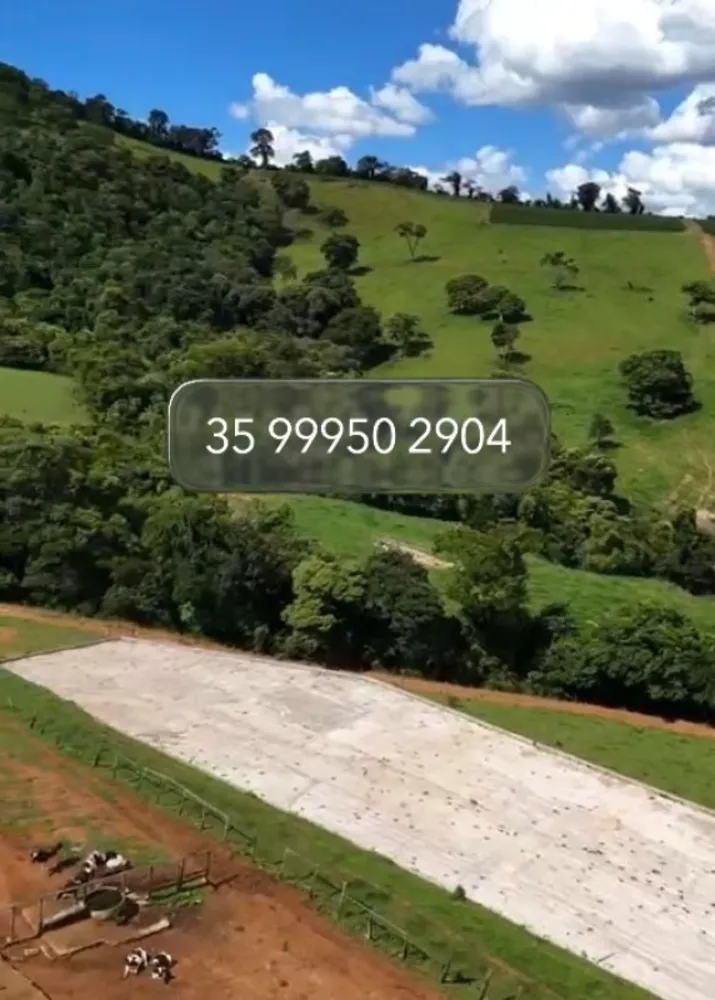 Fazenda, 80 hectares - Foto 4