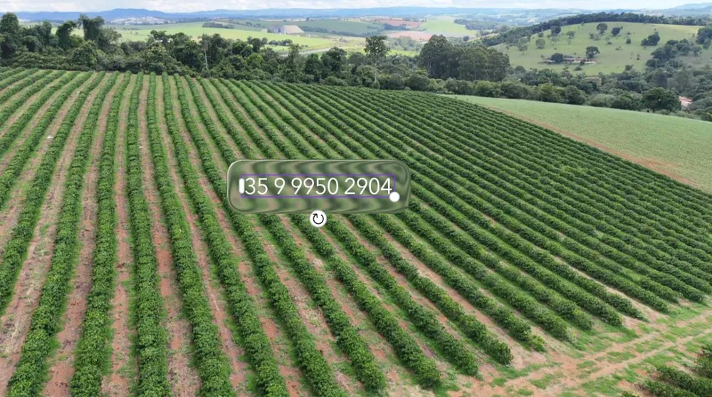 Fazenda, 80 hectares - Foto 1
