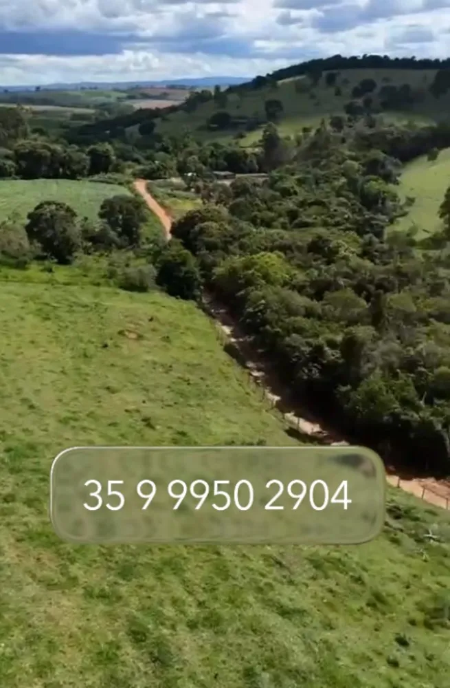 Fazenda, 80 hectares - Foto 8