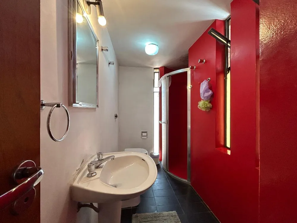 Casa, 3 quartos, 443 m² - Foto 6