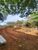 Terreno, 1000 m² - Foto 3