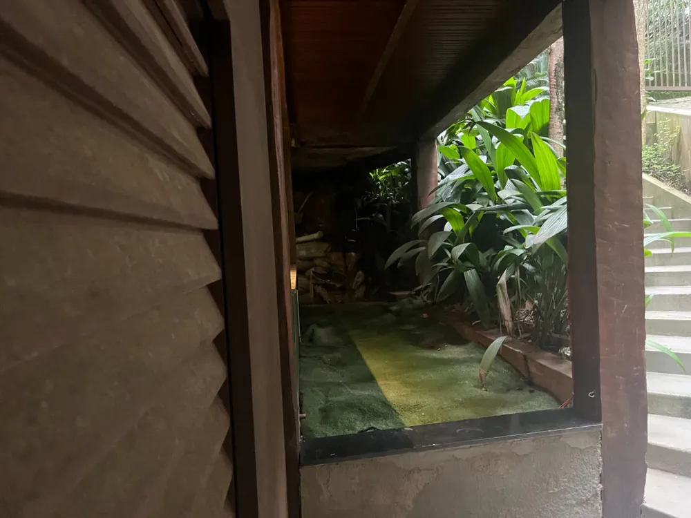 Casa, 5 quartos, 450 m² - Foto 12