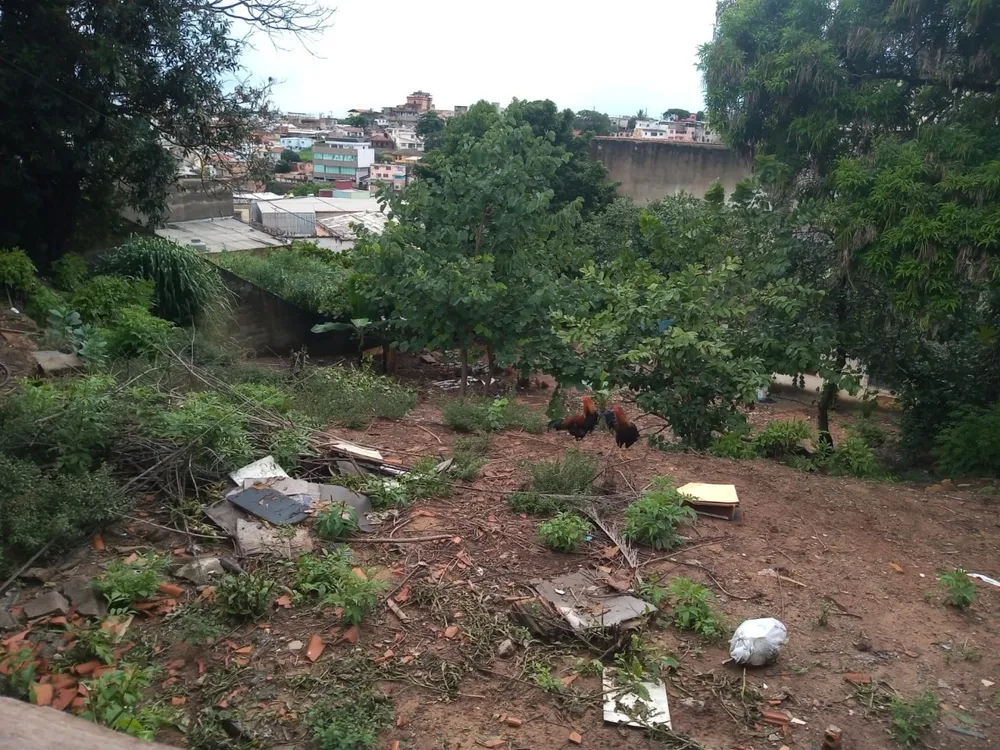 Terreno, 602 m² - Foto 5