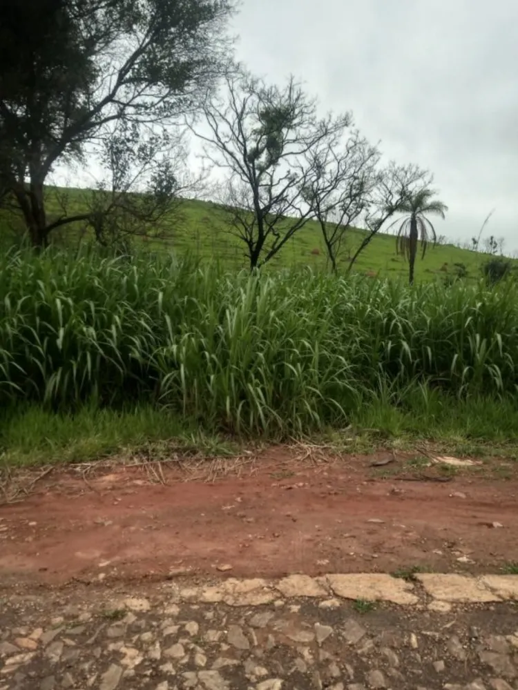 Fazenda, 1 quarto - Foto 5
