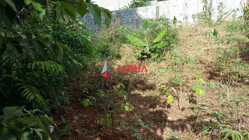 Terreno, 250 m² - Foto 6