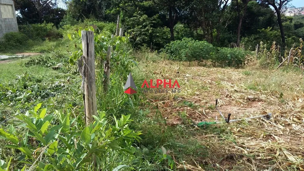 Terreno, 250 m² - Foto 4