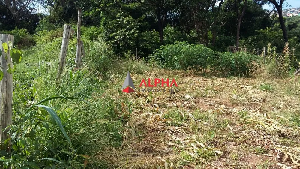 Terreno, 250 m² - Foto 3