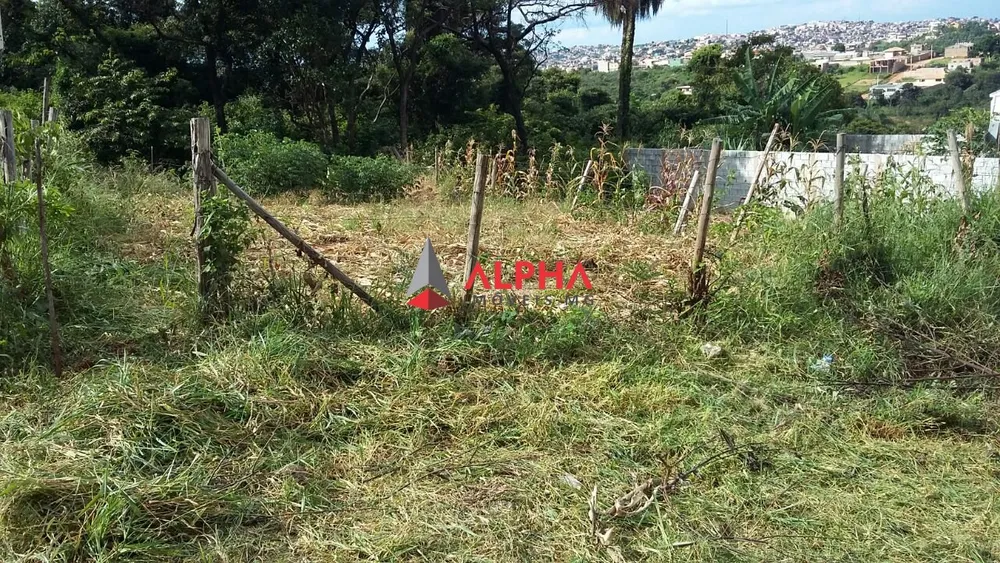 Terreno, 250 m² - Foto 8