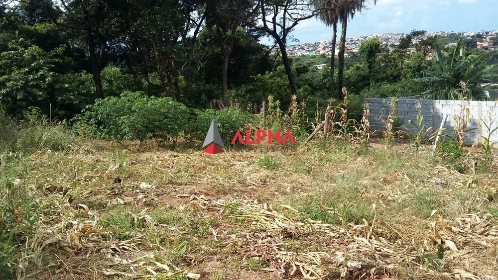 Terreno, 250 m² - Foto 1