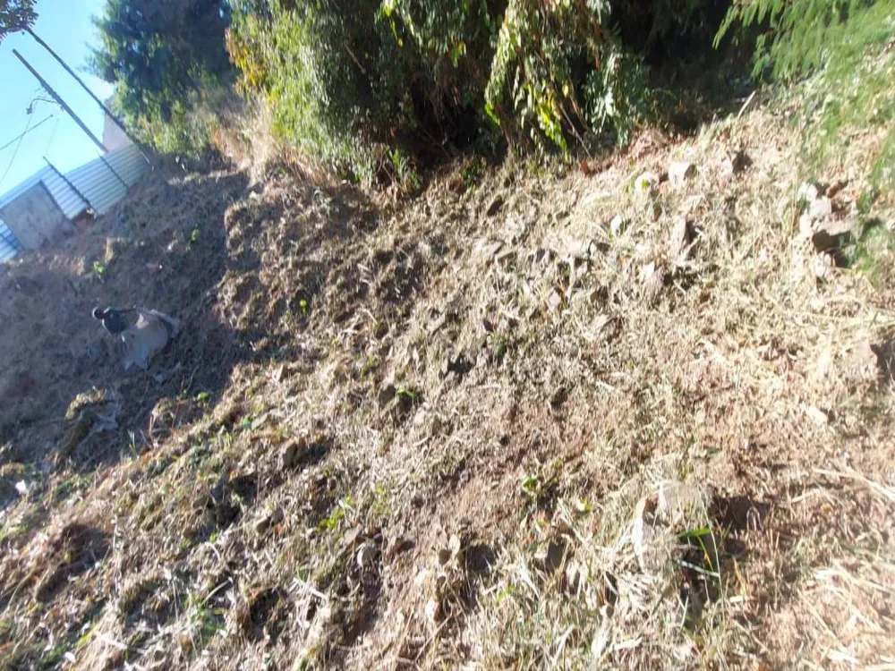 Terreno, 366 m² - Foto 13