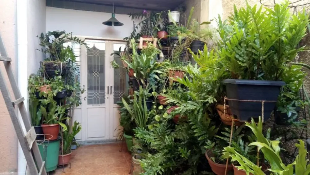 Apartamento, 3 quartos, 105 m² - Foto 6
