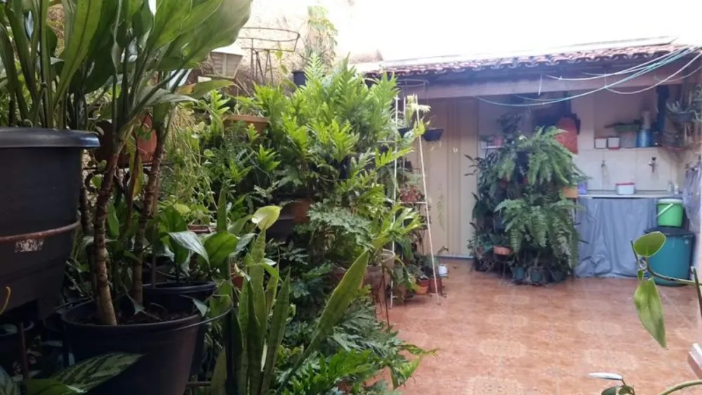 Apartamento, 3 quartos, 105 m² - Foto 4