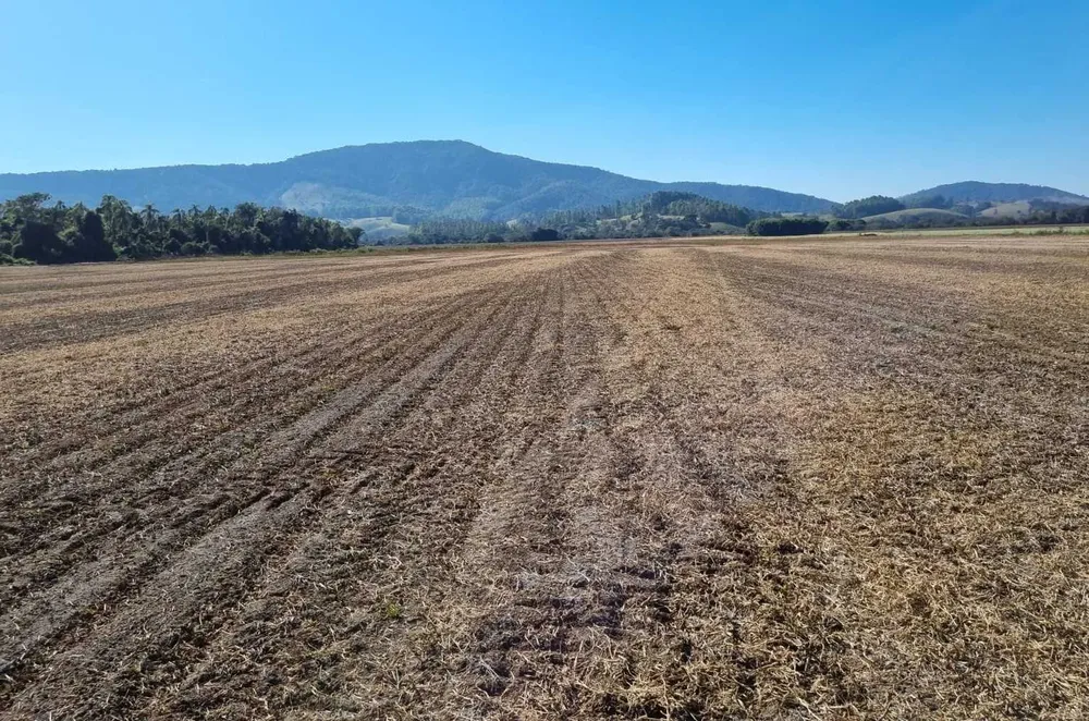 Fazenda, 201 hectares - Foto 17