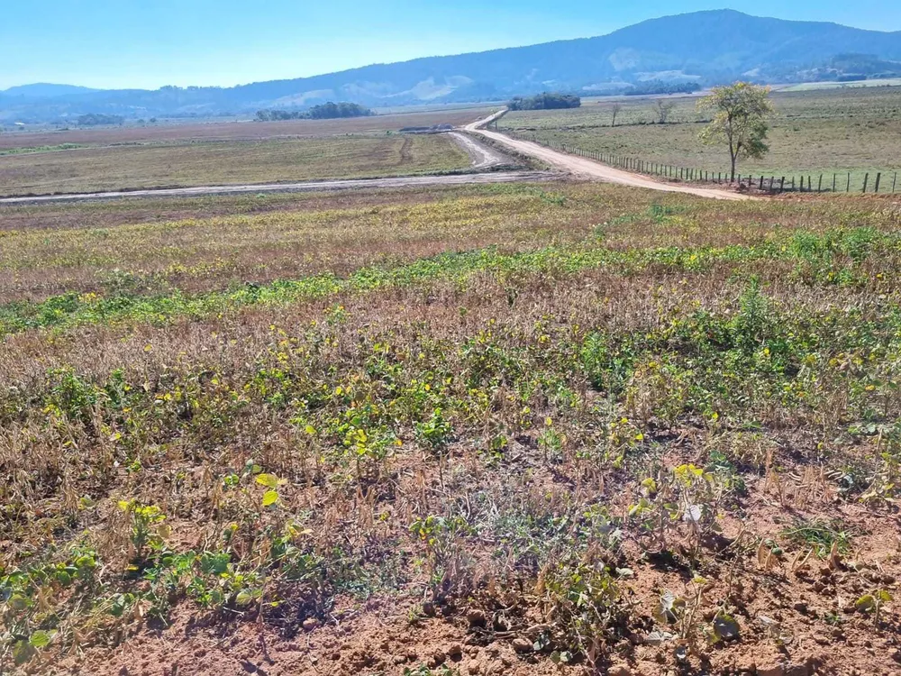 Fazenda, 201 hectares - Foto 18
