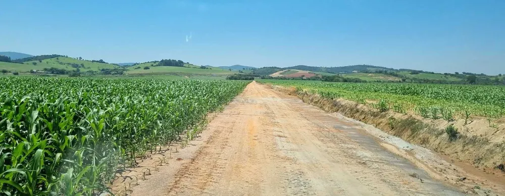 Fazenda, 201 hectares - Foto 8