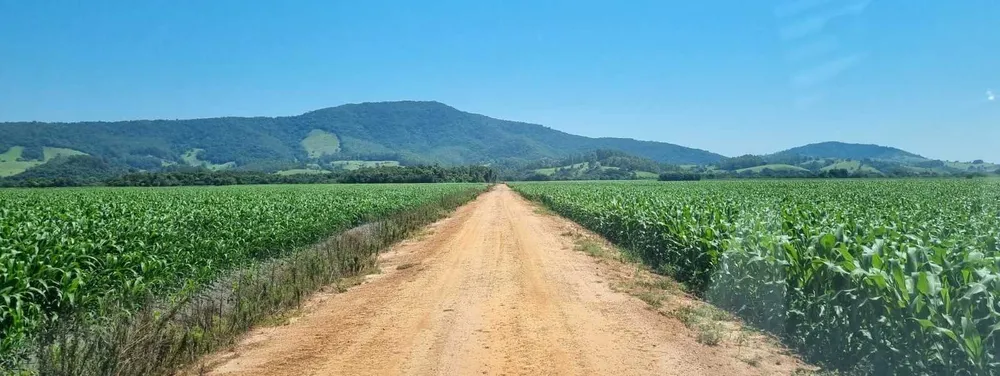 Fazenda, 201 hectares - Foto 9
