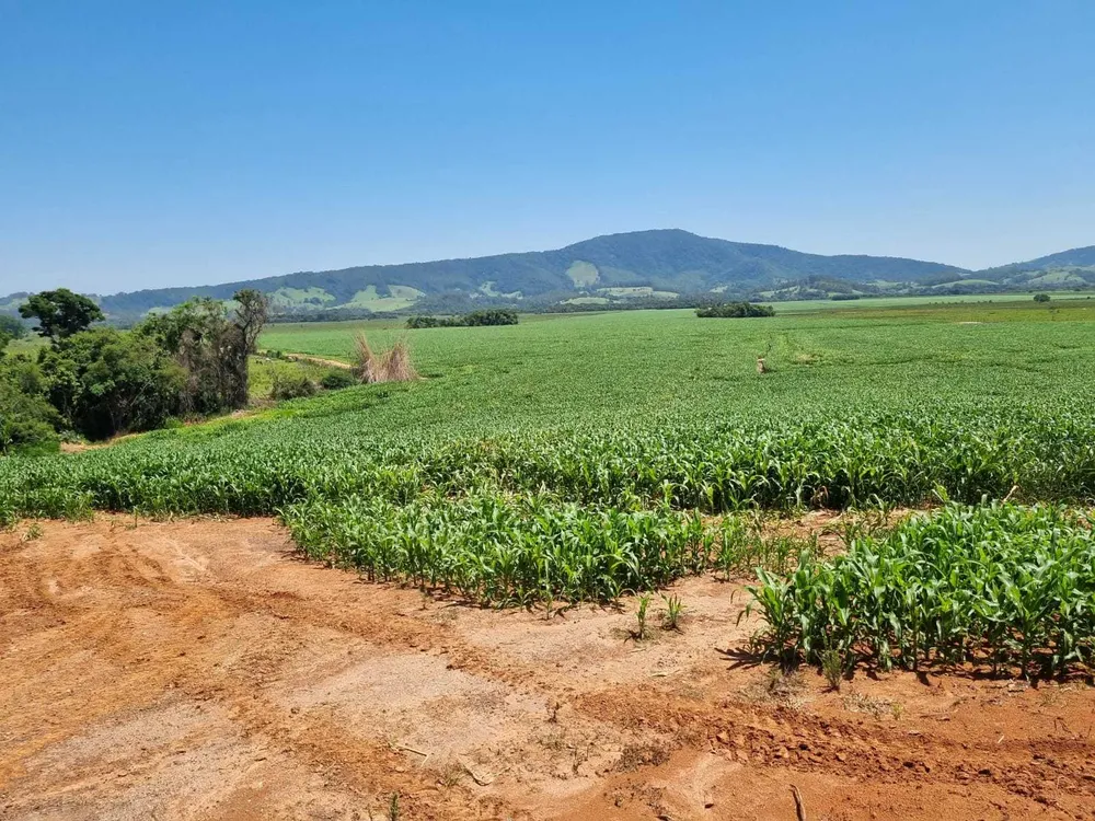 Fazenda, 201 hectares - Foto 2