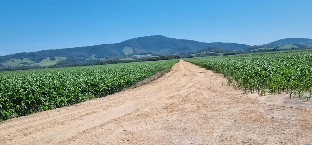 Fazenda, 201 hectares - Foto 15