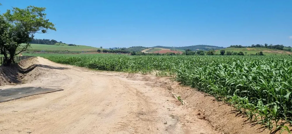Fazenda, 201 hectares - Foto 6
