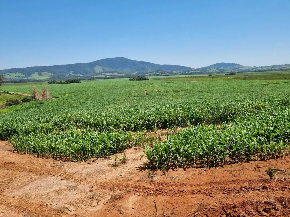 Fazenda, 201 hectares - Foto 1