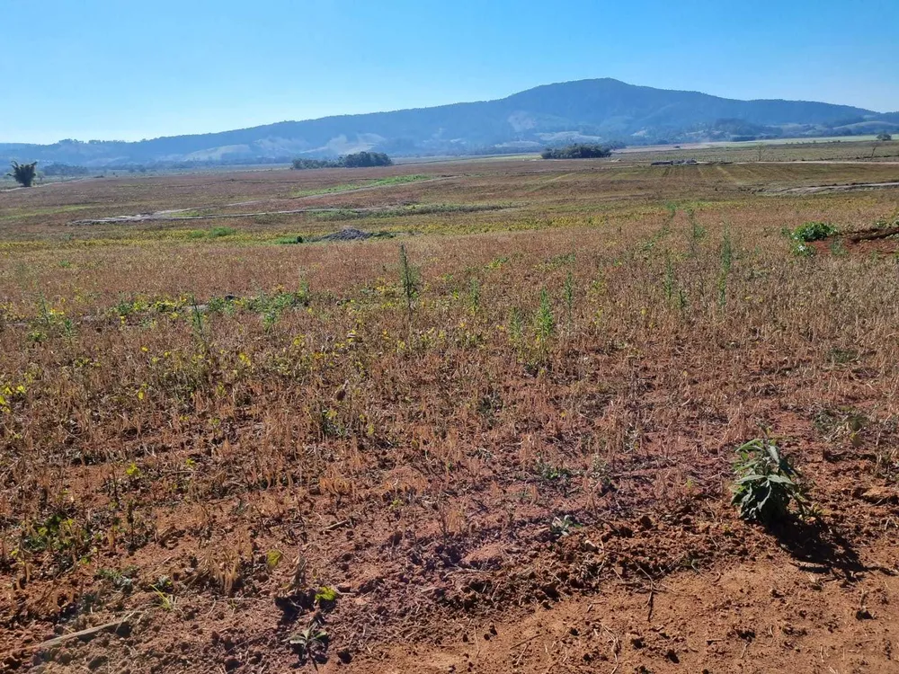 Fazenda, 201 hectares - Foto 19