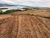 Fazenda, 110 hectares - Foto 1