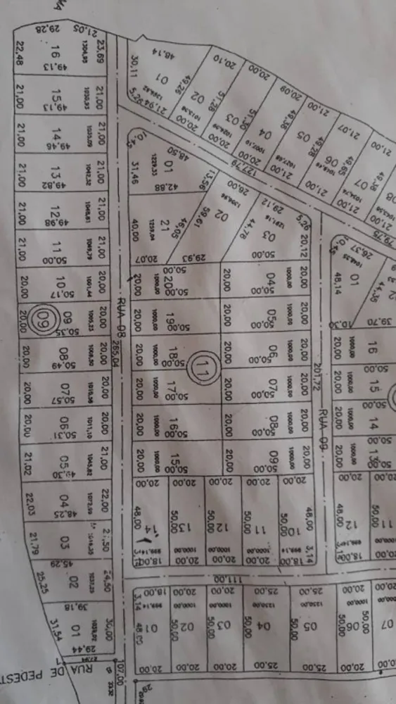 Chácara, 3 quartos, 2000 m² - Foto 4