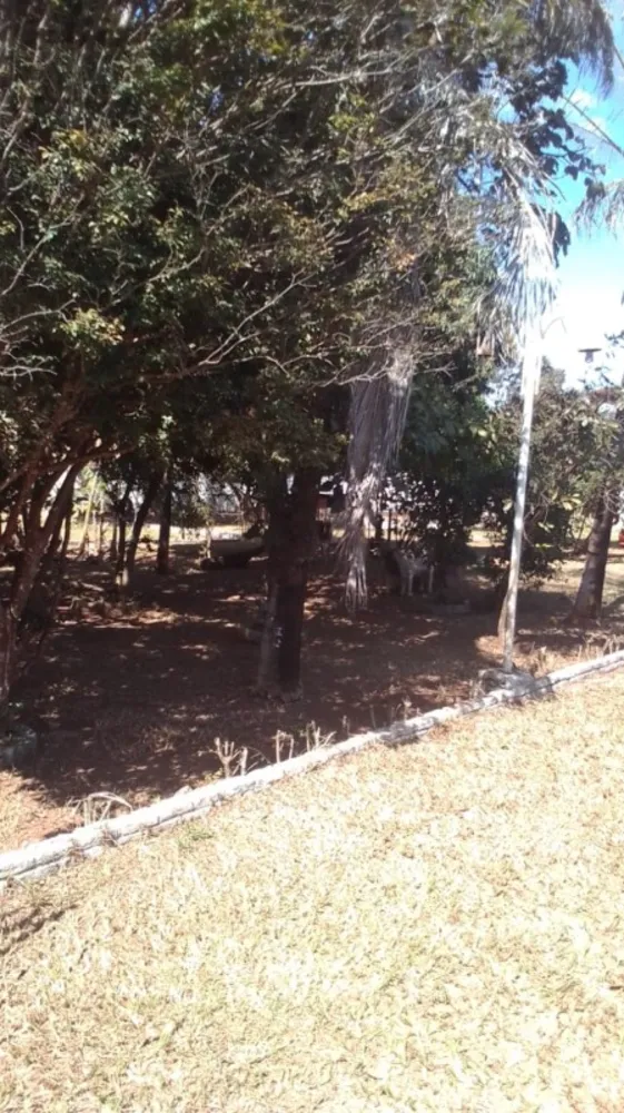 Chácara, 3 quartos, 2000 m² - Foto 10