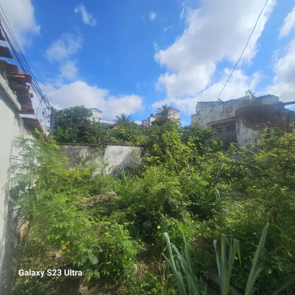 Terreno, 480 m² - Foto 7