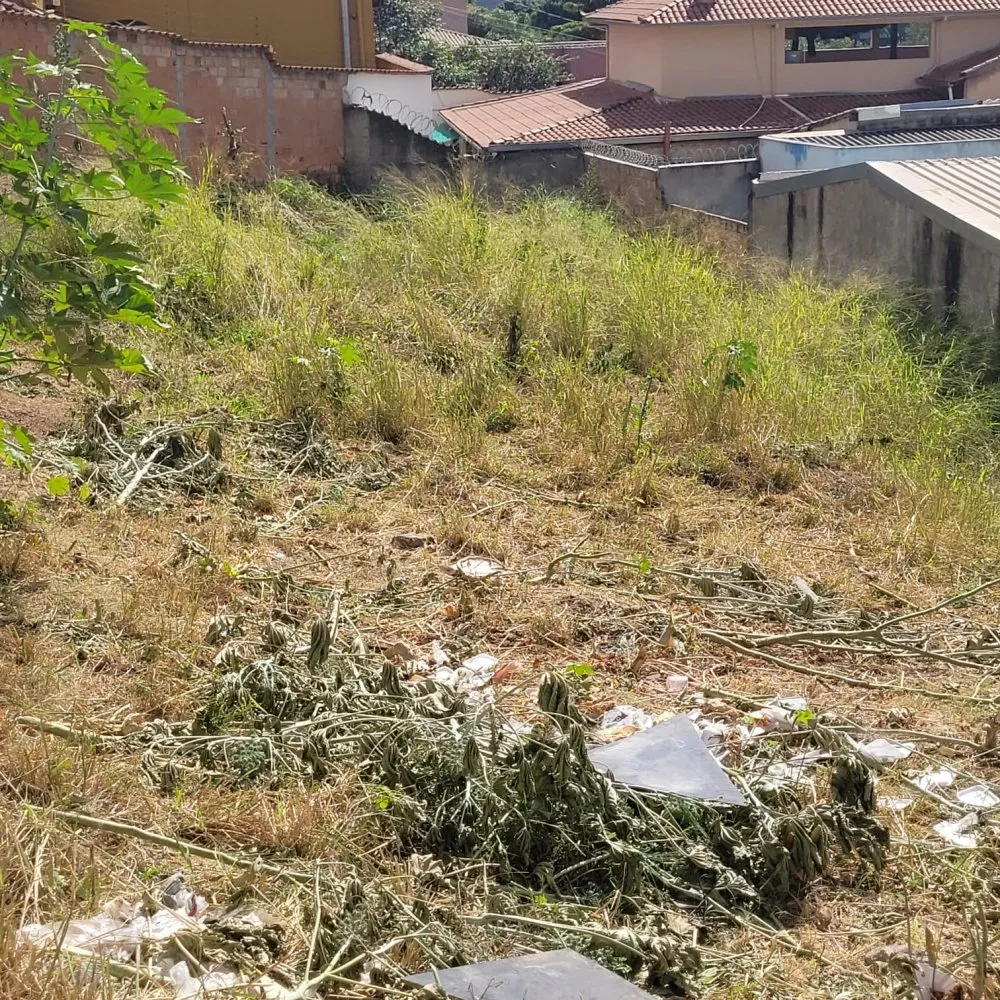 Terreno, 665 m² - Foto 2