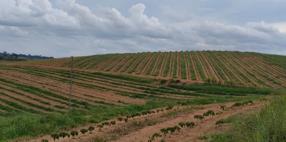 Fazenda, 67 hectares - Foto 6