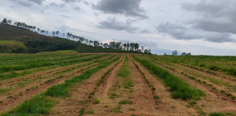 Fazenda, 67 hectares - Foto 2