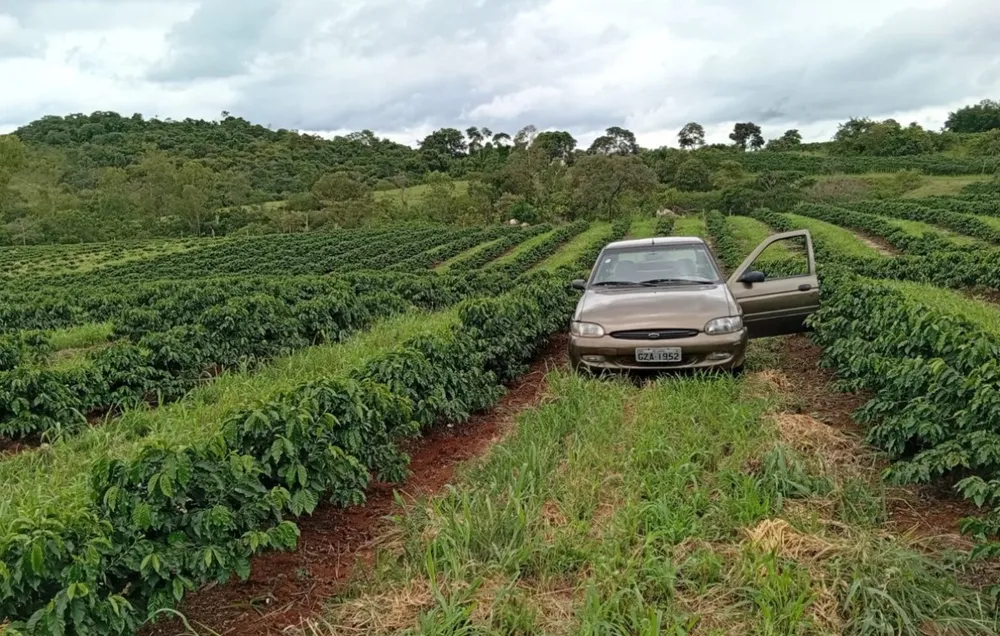 Fazenda, 660 m² - Foto 5