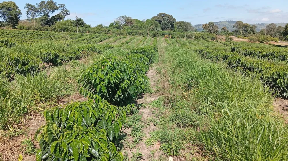 Fazenda, 660 m² - Foto 9