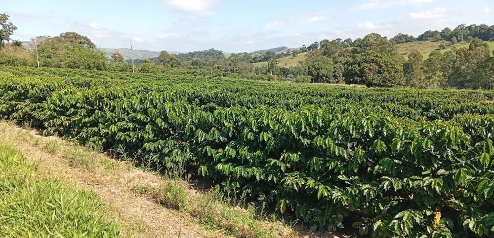 Fazenda, 660 m² - Foto 13